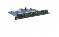 v8_6A2_13b1 v8_6A2_13b1