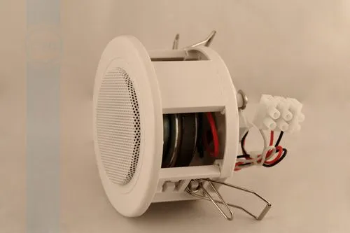 70adjrbu8eww8c40cs4848cgc