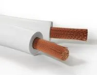 cad707d2758f6e984d2a107b664dccf1