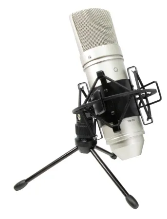 Купить Tascam TM-80 по выгодной цене в Санкт-Петербурге