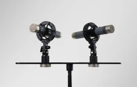 Купить AuraSonics AP22-MP по выгодной цене в Санкт-Петербурге