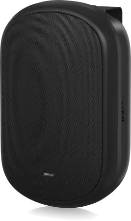 Купить Tannoy DVS 601 по выгодной цене в Санкт-Петербурге