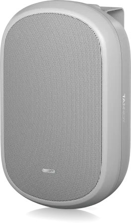 Купить Tannoy DVS 401-WH по выгодной цене в Санкт-Петербурге