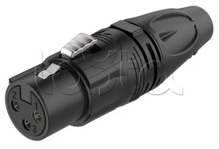 Купить ROXTONE RX3F-BT по выгодной цене в Санкт-Петербурге