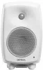 Купить Genelec 8030CW по выгодной цене в Санкт-Петербурге