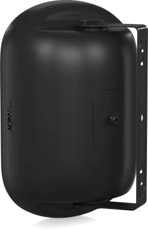Купить Tannoy DVS 801 по выгодной цене в Санкт-Петербурге
