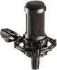 Купить Audio-Technica AT2035 по выгодной цене в Санкт-Петербурге