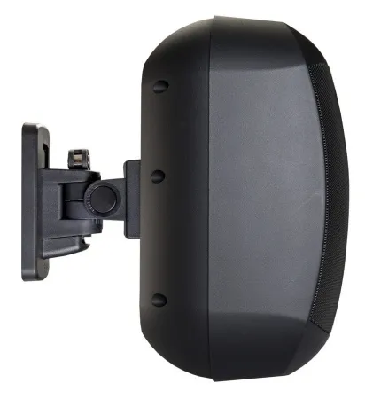 Купить BIAMP MASK6C-BL по выгодной цене в Санкт-Петербурге