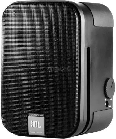Купить JBL Control 2P/230 по выгодной цене в Санкт-Петербурге