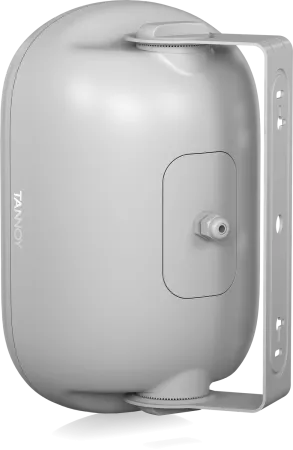 Купить Tannoy DVS 401-WH по выгодной цене в Санкт-Петербурге