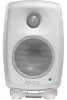 Купить Genelec 8010AW по выгодной цене в Санкт-Петербурге