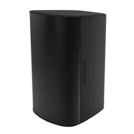 Купить BIAMP EX-S10SUB-CM-B по выгодной цене в Санкт-Петербурге