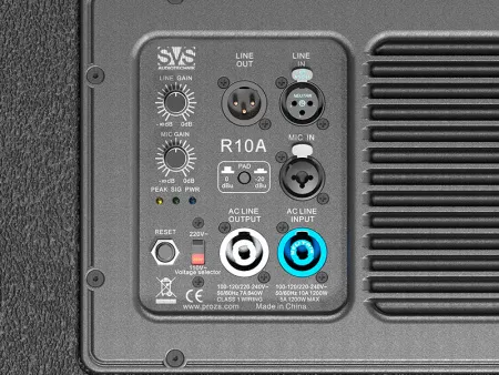 Купить SVS Audiotechnik R10A по выгодной цене в Санкт-Петербурге