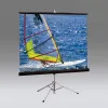 Draper Diplomat/R NTSC (3:4) 244/96" (100", 8') 152*203 MW (XT1000E)