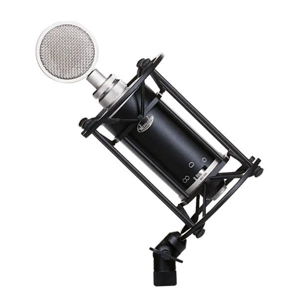 v8_B466_8e559 v8_B466_8e559