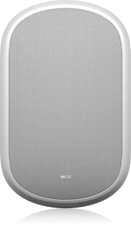Купить Tannoy DVS 801-WH по выгодной цене в Санкт-Петербурге
