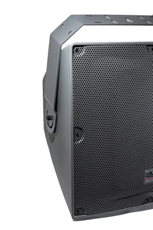 Купить SVS Audiotechnik IP-15T по выгодной цене в Санкт-Петербурге