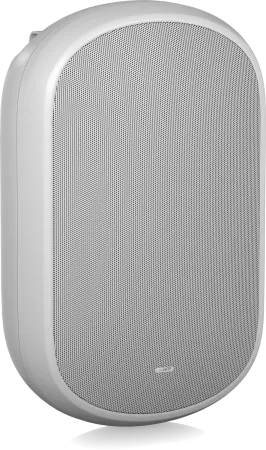 Купить Tannoy DVS 801-WH по выгодной цене в Санкт-Петербурге