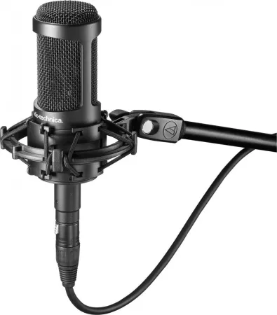 Купить Audio-Technica AT2035 по выгодной цене в Санкт-Петербурге