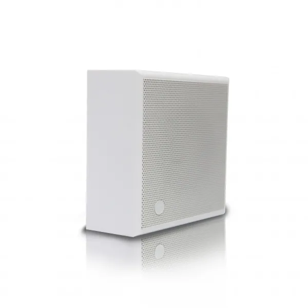 CVGAUDIO WPS6T CVGAUDIO WPS6T