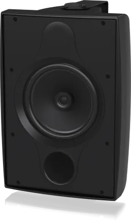 Купить TANNOY DVS 8T по выгодной цене в Санкт-Петербурге