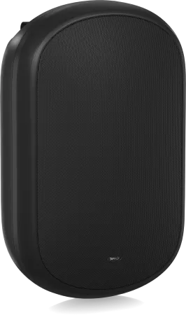 Купить Tannoy DVS 801 по выгодной цене в Санкт-Петербурге