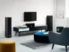 Купить DALI GRILLE SPEKTOR 6 BLACK по выгодной цене в Санкт-Петербурге