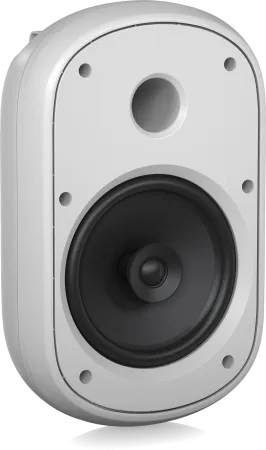 Купить Tannoy DVS 801-WH по выгодной цене в Санкт-Петербурге