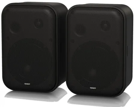 Купить TANNOY VMS 1 по выгодной цене в Санкт-Петербурге