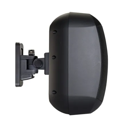 Купить BIAMP MASK6CT-BL по выгодной цене в Санкт-Петербурге