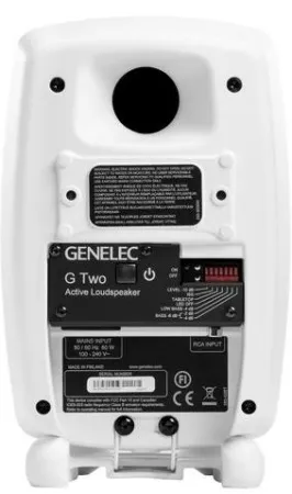 Купить Genelec G Two BWM по выгодной цене в Санкт-Петербурге