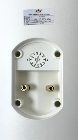 SVS Audiotechnik WSP-6W Pro