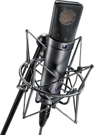 Купить NEUMANN U 89 i по выгодной цене в Санкт-Петербурге