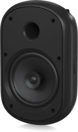 Купить Tannoy DVS 801 по выгодной цене в Санкт-Петербурге