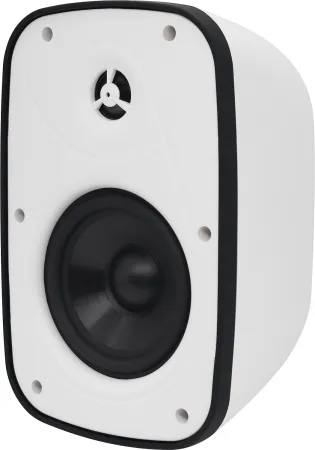 Купить SVS Audiotechnik PAF-6W PRO по выгодной цене в Санкт-Петербурге