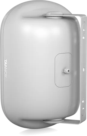 Купить Tannoy DVS 801-WH по выгодной цене в Санкт-Петербурге