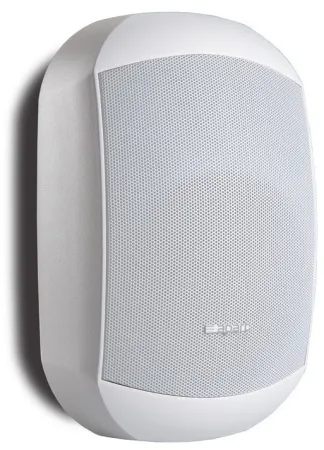 Купить BIAMP MASK4C-W по выгодной цене в Санкт-Петербурге