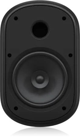 Купить Tannoy DVS 801 по выгодной цене в Санкт-Петербурге