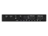Купить iconBIT HS-2509 по выгодной цене в Санкт-Петербурге