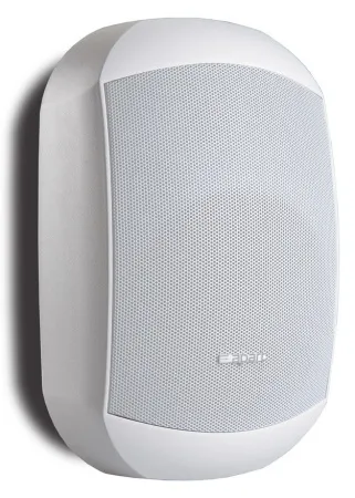 Купить BIAMP MASK6C-W по выгодной цене в Санкт-Петербурге