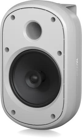 Купить Tannoy DVS 601-WH по выгодной цене в Санкт-Петербурге