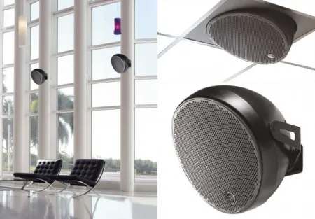 Купить DAS Audio OVI 12 по выгодной цене в Санкт-Петербурге