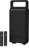 Купить BEHRINGER C-2 DARK EDITION по выгодной цене в Санкт-Петербурге