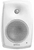Купить Genelec 4430AW по выгодной цене в Санкт-Петербурге