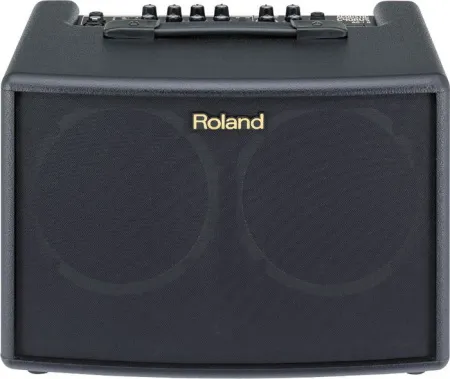 Купить ROLAND AC-60 по выгодной цене в Санкт-Петербурге