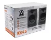 Купить AuraSonics KN4.5 по выгодной цене в Санкт-Петербурге