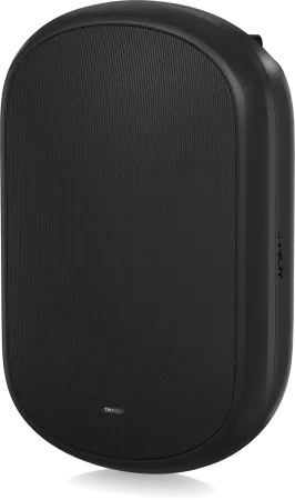 Купить Tannoy DVS 801 по выгодной цене в Санкт-Петербурге