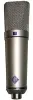 Купить NEUMANN U 89 i по выгодной цене в Санкт-Петербурге