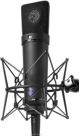 Купить NEUMANN U 87 Ai MT по выгодной цене в Санкт-Петербурге