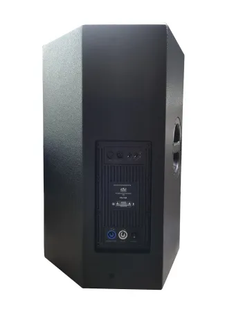 Купить SVS Audiotechnik FS-15A DSP по выгодной цене в Санкт-Петербурге